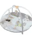 MiniDream Baby Musical Play Gym - Safari